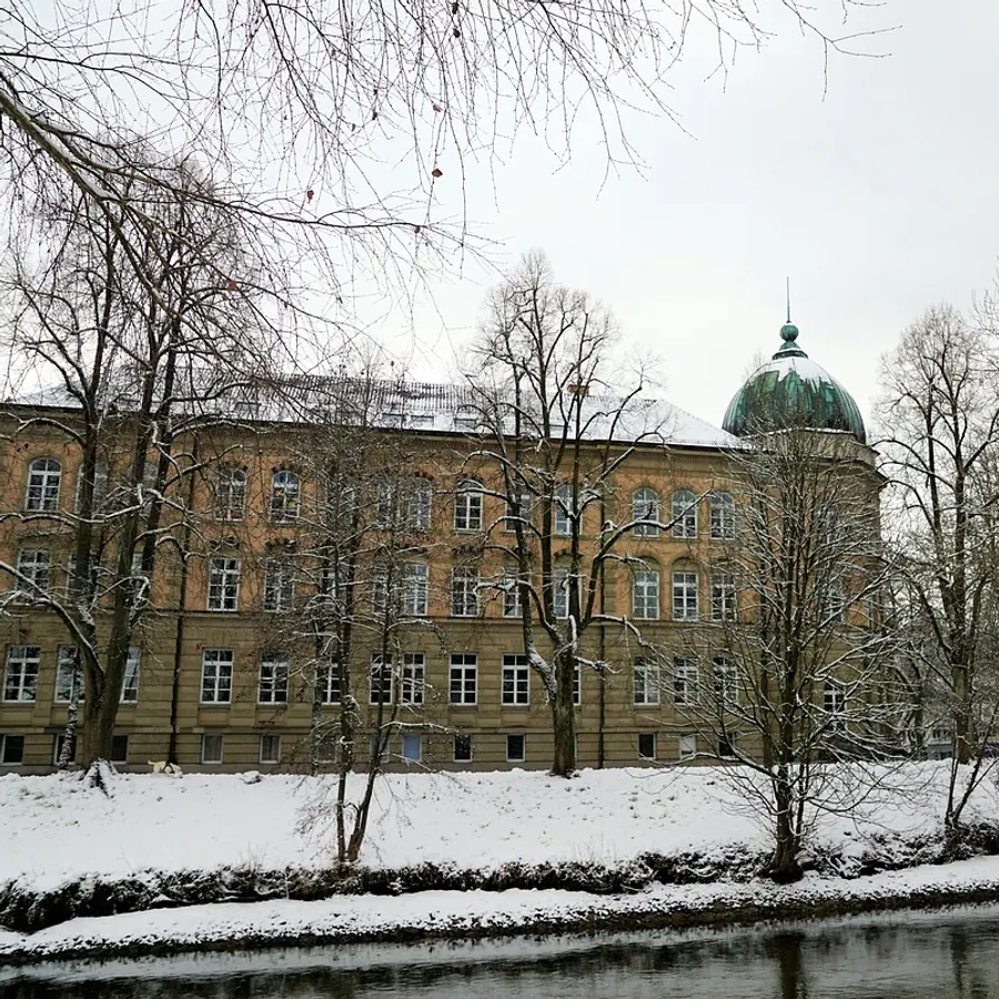 Winter, snow and tree
