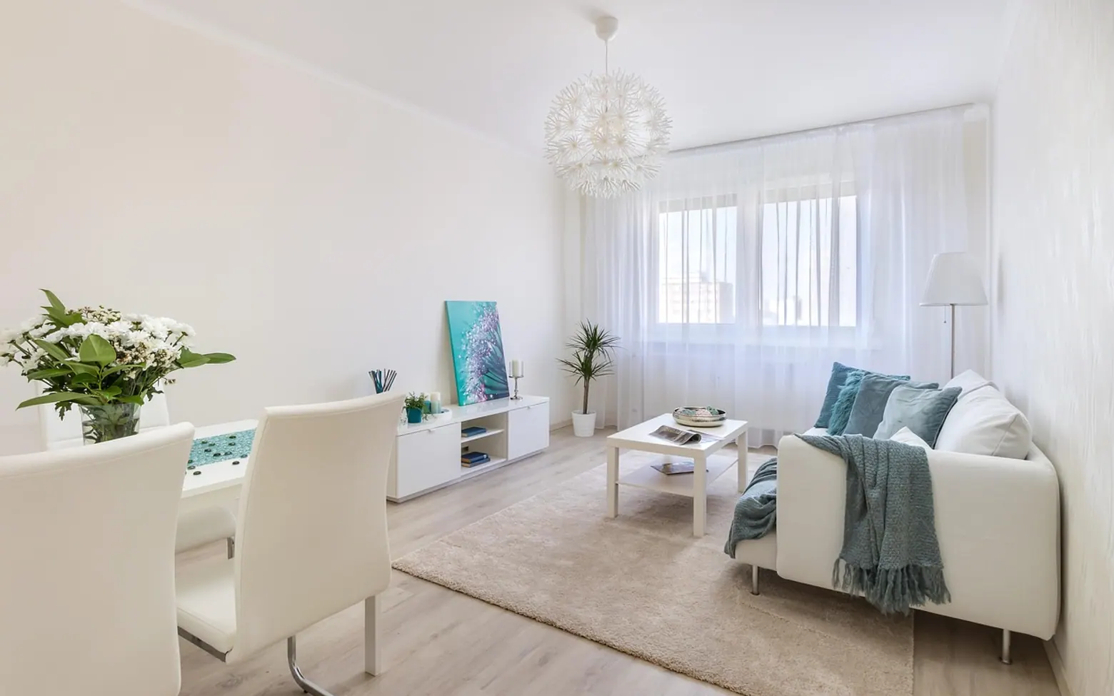 Living room, home and apartment